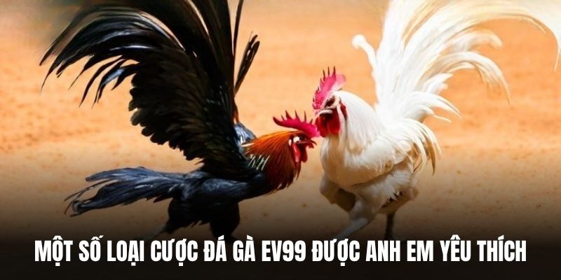 Một số loại cược đá gà EV99 được anh em yêu thích.