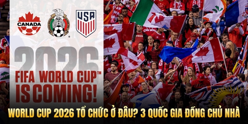 Tổng quan địa điểm tổ chức World Cup 2026